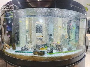 bán căn hộ 3pn, 2wc tại xi grand court, quận 10, giá siêu hời 8,2 tỷ, 90m2 lh 