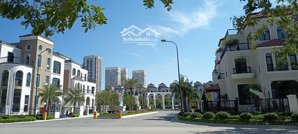 trực tiếp cđt mở bán quỹ căn biệt thự ciputra sổ lâu dài cạnh công viên 65ha hỗ trợ vay 0% 24 tháng