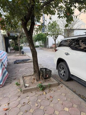 bán đất tại tdc trâu quỳ, diện tích 60m2, hướng đông nam, mặt tiền 4m đường 10m có vỉa hè