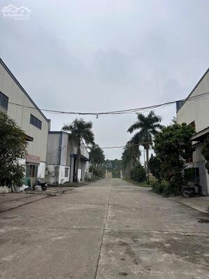 Cho thuê kho xưởng tại Đan Phượng – Hà Nội Diện tích nhà xưởng: 1.500m²