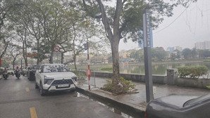 bán gấp nhà phố kim mã kinh doanh 178m2, 4 tầng - mt11m - gara - gía đầu tư.