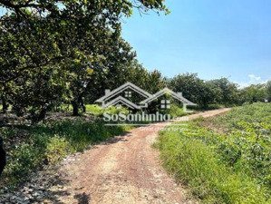 bán đất 13429,7m2 đất rộng thuận lợi đầu tư, trồng trọt