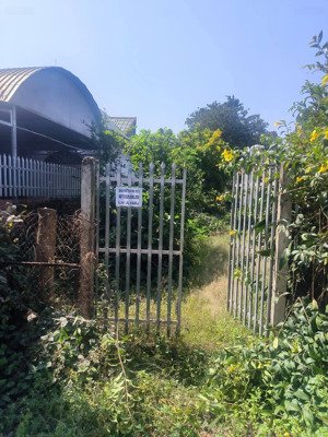 bán đất sông lu 2, 31 tỷ, 3020 m2, hàng hot