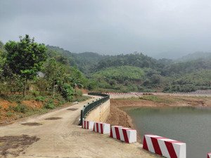 chính chủ bán hơn 5000m2 đất thổ cư vườn bám hồ ba vì