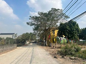 bán đất yên bằng - ý yên - nam định