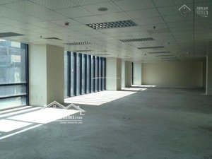cho thuê văn phòng hoàng cầu - đống đa. diện tích trống 250m2. giá cho thuê 300 nghìn/m2