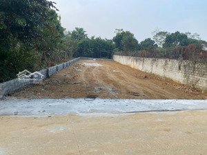 chính chủ cần bán mành đất vuông vắn sổ hồng mới tinh tại yên bài vân hòa cũ