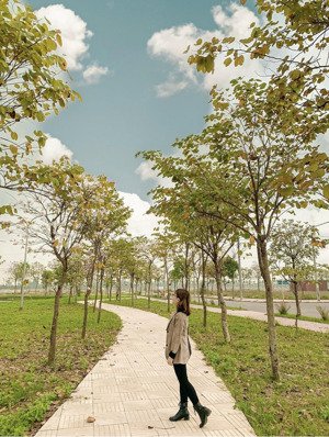 kđt mạnh hùng đẹp nhất hà nam chính thức mở bán hàng cđt giá f0