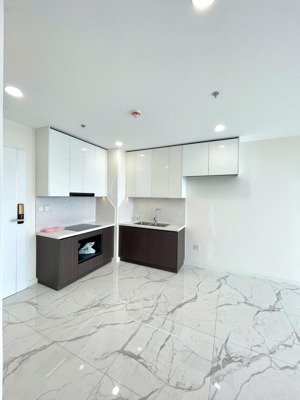 cho thuê căn hộ sunshine sky city 2pn 76m2 ntcb, tầng 8 giá cực tốt 13tr/tháng