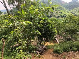 chính chủ cần bán lô đất tại xã tiền phong - đà bắc - hoà bình 21.000m2 có 400m2 đất ở