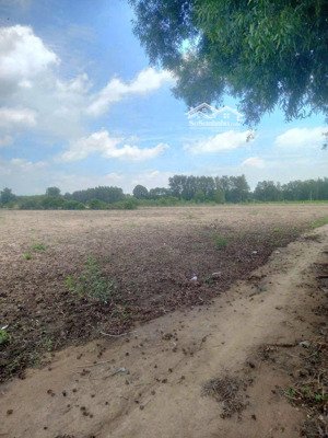 chủ kẹt gửi bán miếng đất 14000m2 sổ hồng riêng giá rẻ nhất khu vực