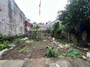 bán 62.9m2 đất yên hà, hải bối, đông anh, mặt tiền 4.83m, 6.5 tỷ