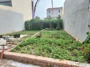 chính chủ cần tiền gửi bán gấp mảnh đất đẹp thôn lại đà, đông hội, đông anh, hà nội