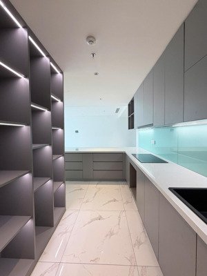 chính chủ đi nước ngoài sang lại căn hộ 2pn, view q1,nhỉnh 9 tỷ trung tâm quận 5, ân hạn gốc 10 năm