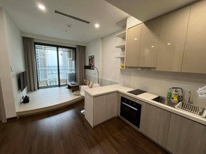 căn hộ cao cấp 1pn+ toà masteri vào được ngay - full đồ xịn đẹp cho thuê giá 11,5 có tl 