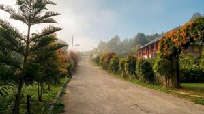 Cộng đồng nhà gỗ hiện hữu tại Bảo Lộc, giá trị không nằm ở 1000m², mà ở 35 gia đình đã chọn trước