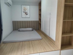 cho thuê căn hộ chung cư biconsi tower chợ đình - phú lợi diện tích: 50m2 - 1pn - 1wc