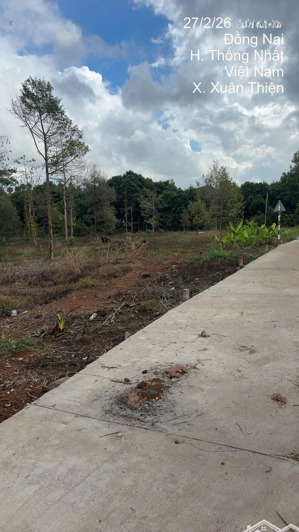 bán đất nền gấp giá rẻ khu vực bình lộc