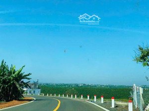 chính chủ bán mảnh vườn đang trồng cafe thu hoạch tốt