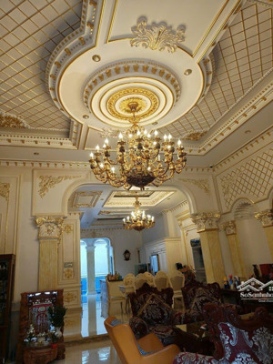 bán villa bành văn trân 324.9m² 6 tầng - 66 tỷ - biệt thự hồ bơi tân bình