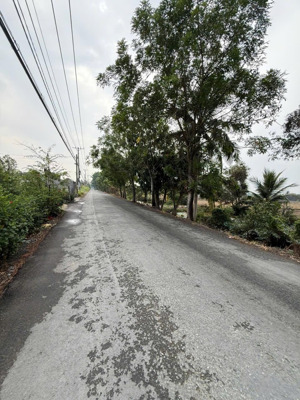 bán đất tân long, 4,5 tỷ, 178,1 m2, giá ưu đãi, view đẹp có sẳn 133m2 thổ cư thuận tiện xây mới