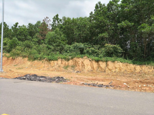 bán 6.000m² đất cln mt đường lớn liên chiểu, đà nẵng