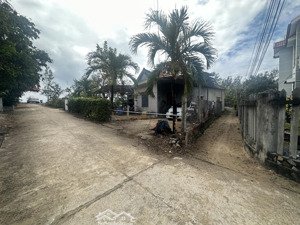 lô đất mặt biển duy nhất có thổ cư mà tới 2340m2 mà chưa tới 10 triệu/1m2