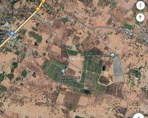 bán vườn thanh long ruột đỏ 42ha, khu vực đá quý xã hồng liêm, huyện hàm thuận bắc, bình thuận cũ