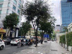 nhà đẹp sinh khí vượng h27-29 nguyễn bỉnh khiêm, dt 68m2 bề ngang 4m, hxh, kinh doanh & ở, chỉ 20tỷ