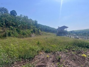 bán nhanh lô đất xã kim long - tp hcm diện tích 1500m2, sổ hồng riêng 1.350 tỷ