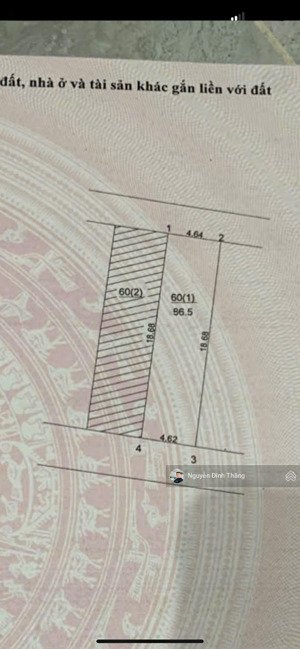 bán 86.5m2 đất học viện nông nghiệp trâu quỳ gia lâm , ô tô chạy thông xây ccmn dòng tiền