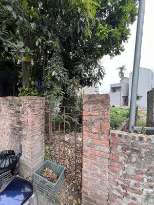 bán đất tại xã đặng xá, gia lâm, hà nội, diện tích 65 m2 giá cực mềm