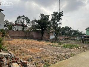 Chính Chủ bán đất ở Nghĩa Thắng Đông Cứu Gia Bình