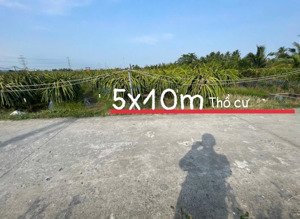 bán 5x40 thổ cư đường đan 3.5 m cách tỉnh lộ 827a đường nhựa 4 lằn đường 800 m đường thông