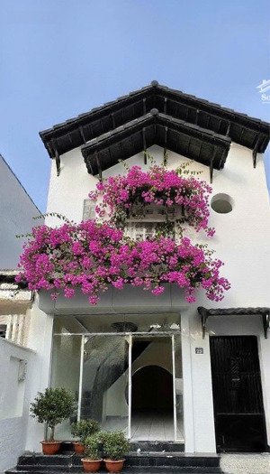 cần bán motel 12 phòng gần chợ phúc hải phường tân phong. dt: 5,8x25,5m shr thổ cư