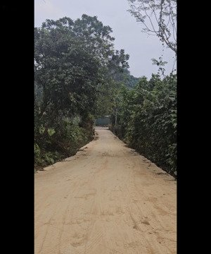 bán đất mặt tỉnh lộ 15 giáp đường hcm 420 triệu 105m2 sẵn sổ