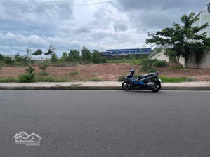 bán nhanh lô đất skk. sổ sẵn. đóng thuế hàng năm thời hạn đến năm 2065. dt: gần 30000m2