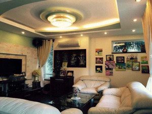 cho thuê biệt thự sông ông lớn sadeco giá rẻ phù hợp làm văn phòng hoặc ở