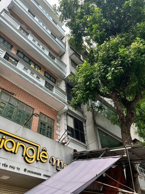 mặt phố phó đức chính ba đình,6t thang máy 75m2 mt5m 52.8 tỷ