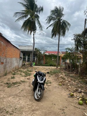 em chính chủ cần bán lô đất tâm huyết 189m2 giá 4,5tr m2 full thổ cư sổ hồng riêng