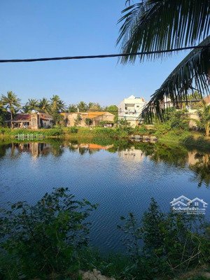 view hồ cua đường tống văn sương võng nhi cẩm thanh