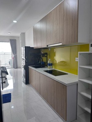 cho thuê ch 1pn tại sunrise riverside, 10 triệu, 33m2 gọi 