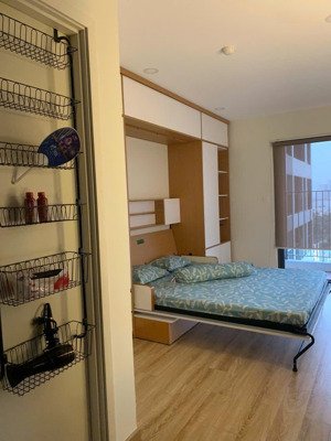 cho thuê căn hộ 1pn 33m2 tại sunrise riverside, 10 triệu vnd