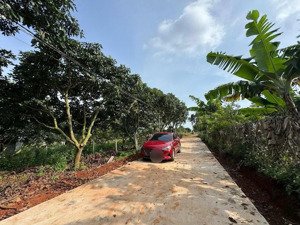 lô đất thị trấn nam ban vùng ven đà lạt, giá siêu tốt