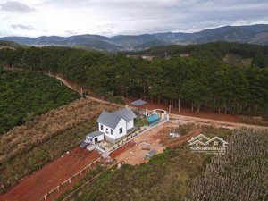 giảm mạnh nhà vườn 1.158m² đối diện đồi thông sát đà lạt chỉ 2tỷ5 chốt