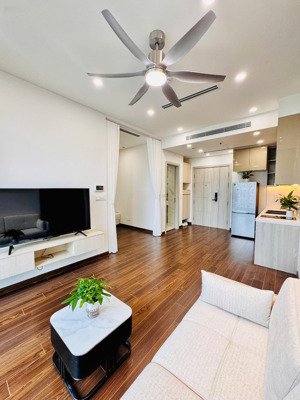 chính chủ gửi bán nhanh căn hộ 1pn+1, rất phù hợp cho anh/chị đầu tư dòng tiền