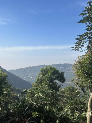 16.000m 94m mặt đường 850m thổ cư