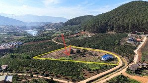 siêu rẻ ! gần 700 m2 đất cách địa phận p. cam ly 1.5 km giá giảm sâu còn hơn 1 tỷ!