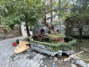 mua bán biệt thự an hưng - an vượng, kđt dương nội, hà đông vị trí đẹp giá tốt