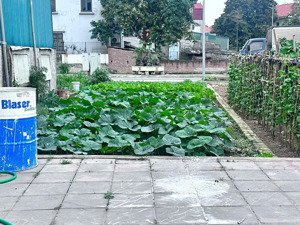 hơn 5 tỷ 95m2 đường trước, sau nhà 10m lô góc mặt phố như quỳnh sát khu công nghiệp,tăng trưởng cao